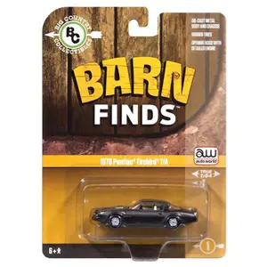 Auto World 1976 Pontiac Firebird T/A Barn Find, Big Country Collection, 1:64 Scale, Diecast Model Car