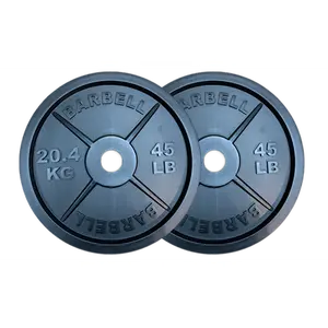 Fake Weights Commercial Grade - 45 LB Barbell Weight Plates Pair