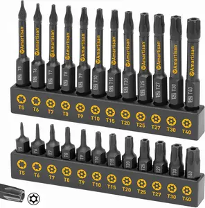 24-Piece Torx Bit Set, S2 Steel, T5-T40, Security & Tamper-Resistant