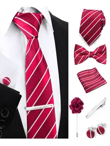 6-Piece Tie Set, Multiple Fashion Styles, Striped Plaid Designer Ties, Men's Wedding Host Formal Accessories, Trendy Neckwear Collection