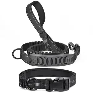【Travel Ready】2-in-1 Dog Leash with Seatbelt Buckle + Reflective ID Collar Set