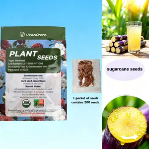 Sugarcane Seeds – Sweet & Juicy Cane Variety, Easy to Grow for Home Gardening, Outdoor & Backyard Planting