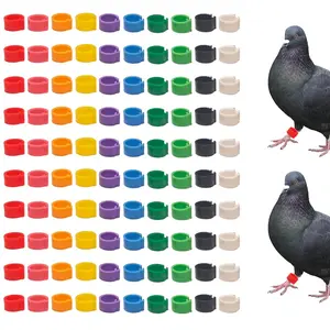 100pcs Colorful Pigeon Leg Rings, Durable Plastic Bird Foot Bands and Clamps, Easy Identification Tags, Bright Colors, for Small Birds