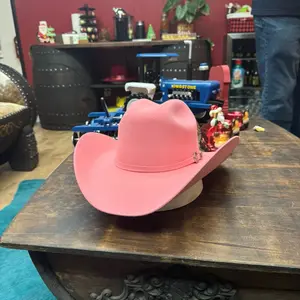 Tombstone 20X este oeste pink