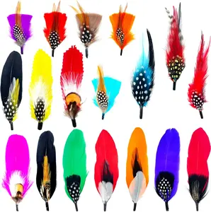18 Pcs Hat Feathers, Assorted Feather for Fedora Hats, Colorful Natural Real Fe CKANDAY