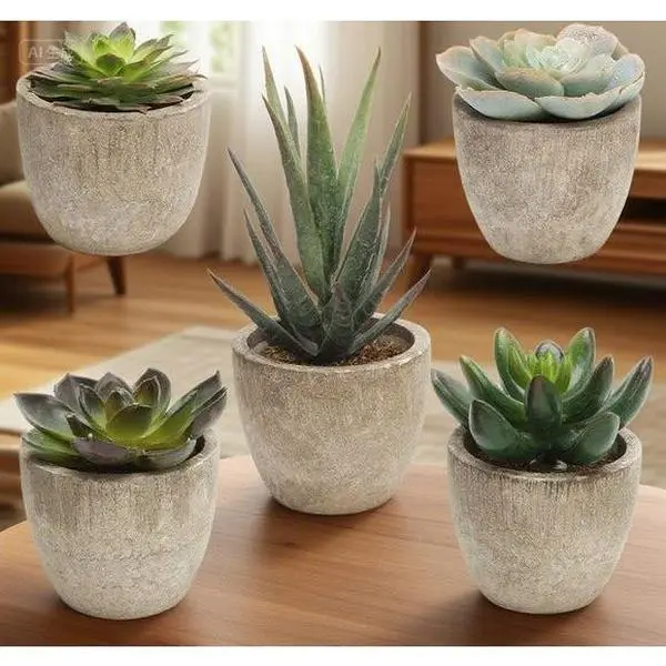 Decorative Faux Succulent Plants Set with Pots, Assorted Mini Fake Cactus Cacti, Set of 5, Realistic Looking, Low Maintenance Home Office Decor