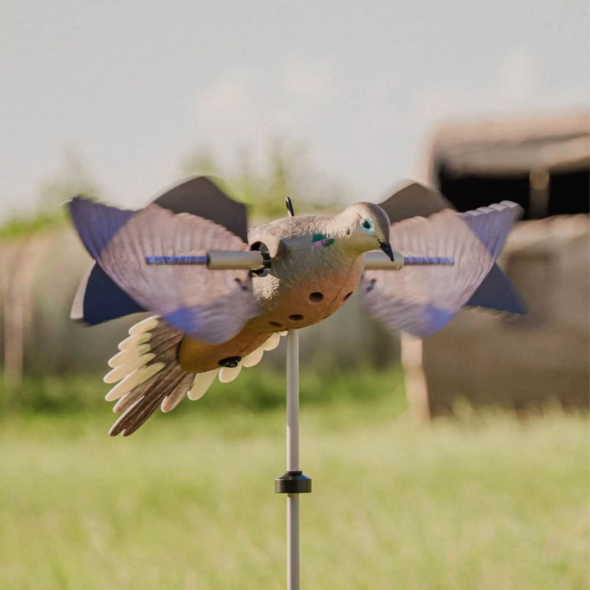 Avian X Powerflight Motion Dove Decoy - Hunting Decoy with 360-Degree Spinning Wings, Realistic Paint, Realism Mold, Field Stake, Carry Bag, Wind Motion Arm, Natural Paint Scheme