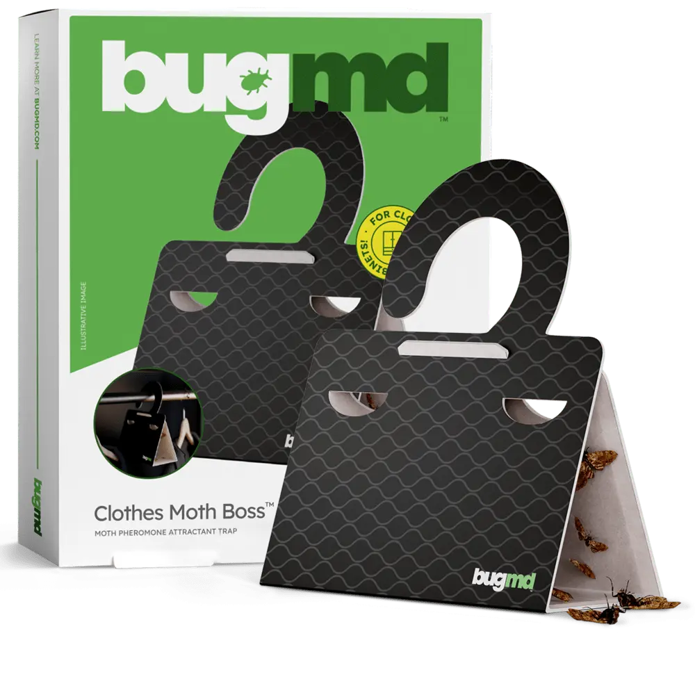 BugMD Clothes Moth Boss Traps Black - Sticky Glue Bug Repellent Pheromone Attractor for Closets Wardrobes Cabinet Drawers, Moth Balls for Closet, Moth Traps with No Harsh Chemicals