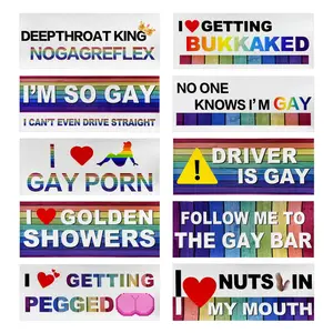10PCS Bumper Decals Funny LGBT Stickers, Rainbow Bumper Prank Car Stickers LGBT Sticker Sign, Colorful Gay Pride Decal for Cars Trucks Luggage Window, Car Accessories (Magnetic, Style 2)