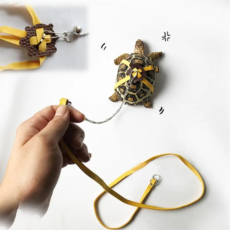 High Quality Pet Turtle Leather-Steel Traction Lead, 1pc Portable Size Outdoor Safety Belt, Multifunctional Training Rope for Small Animals (Pet Supplies, Collars Harnesses & Leads), S