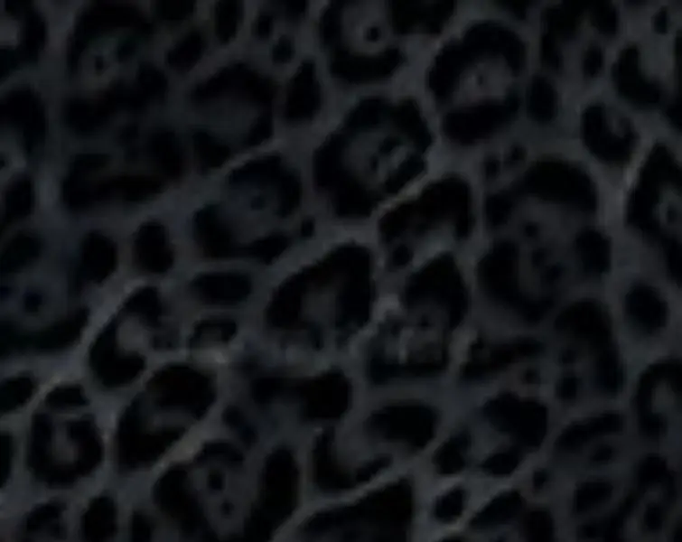 Women's Cheetah Print Short-Sleeve Top - Casual Women's T-Shirt, Available in Black or Cream