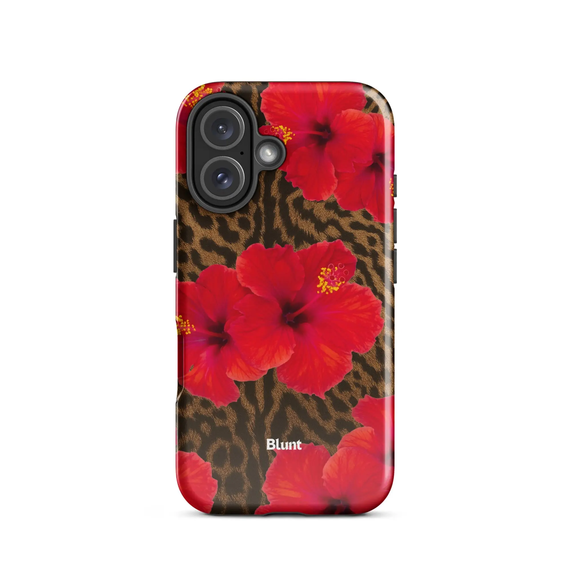 Sunset iPhone Case