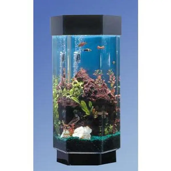 Midwest Tropical TT-1500 15.5 in. Hexagon Aquascape Aquarium - 15.5"x14"x31"h Acrylic Enclosure with Lighting, Extension Cord, 15.5" Tabletop Fit, Compact Design, Space Illusion, Multiple Views, Panoramic Sea Scapes Magnification for Home Use, 15-1/2" X 1