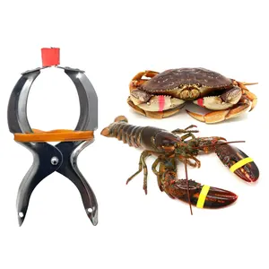 AirFly Crab, Lobster Claw Rubber Bands, Protect Lobsters & Crabs, Cook Safe FDA-Compliant Silicone, Made in USA - Binder Pliers (no bands)