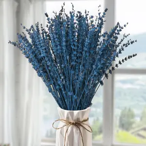 Mother’s Day Lavender Gift – Natural Dried Lavender Flowers Bundle 180–200 Stems 15–17", Aromatherapy Fragrance Bouquet for Home Decor, Shower & Crafts (Blue 2.82oz)