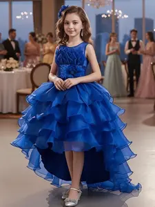 Girl's Contrast Mesh Flower Appliques High Low Hem Satin Dress, Elegant Contrast Sequin Bow Back Sleeveless Fit & Flare Dress for Party Performance, Kids Clothes for All Seasons, Princess Quince Dresses