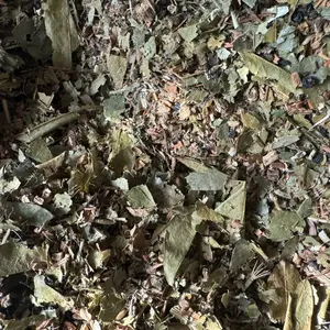 BREW102 102 Mineral Fasting Tea Herbal Tea