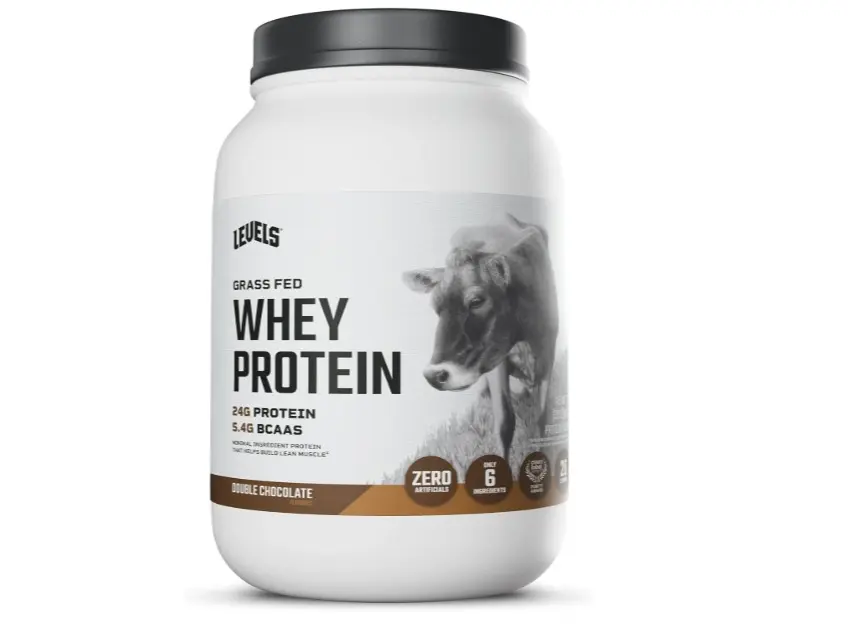 Fed Whey Protein Powder, No Artificials, 24G of Protein, Double Chocolate, 2LB