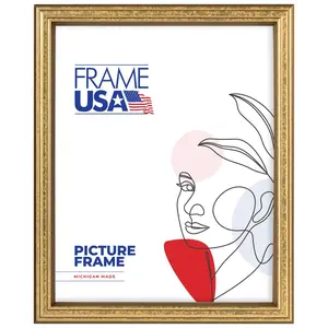 Economy Gold 18X24 inch Single Image Picture Frame