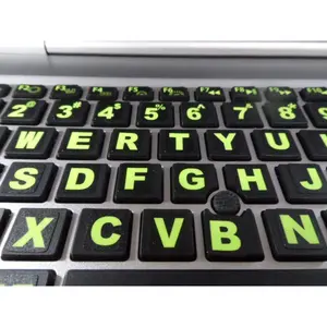 Keyboard Stickers with Big Luminescent  Symbols. 200 Inlay Set. 3 . Warranty. Will Not Wear or Fade. U.S. English Laptop & PC. Also Includes Pocket/Purse Magnifier, USB LED & Tweesers.