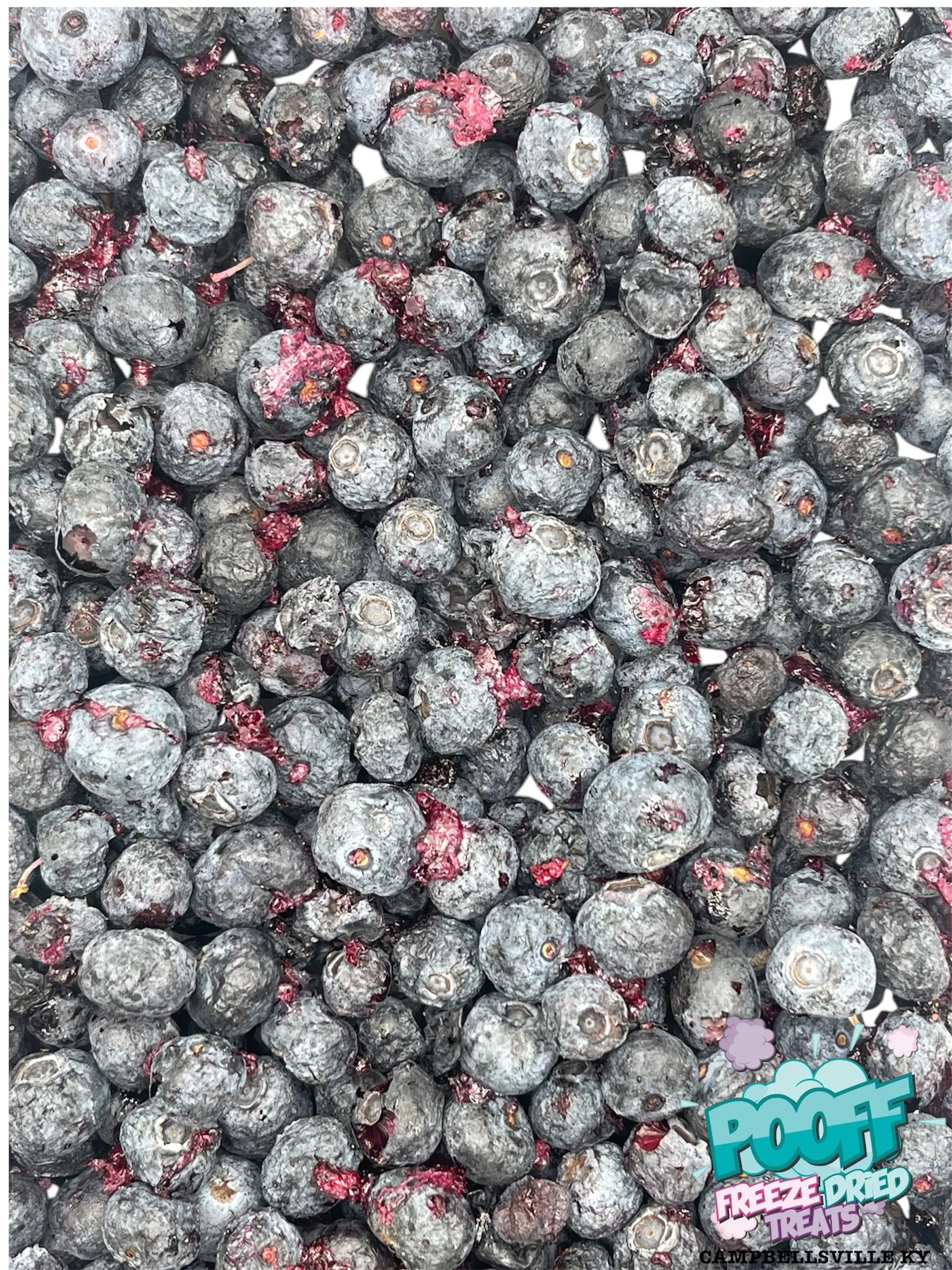 Freeze Dried Blueberries Freeze Dried Blueberries