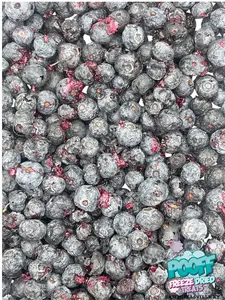 Freeze Dried Blueberries