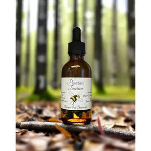 Plantain Tincture, Plantago Major Herbal Extract, 1 oz. or 2 oz. Dropper Bottle