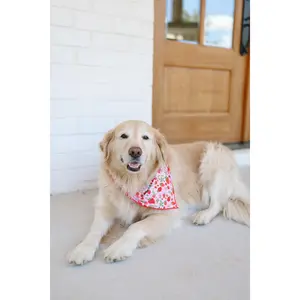 Strawberry Field Pet Bandana - L/XL