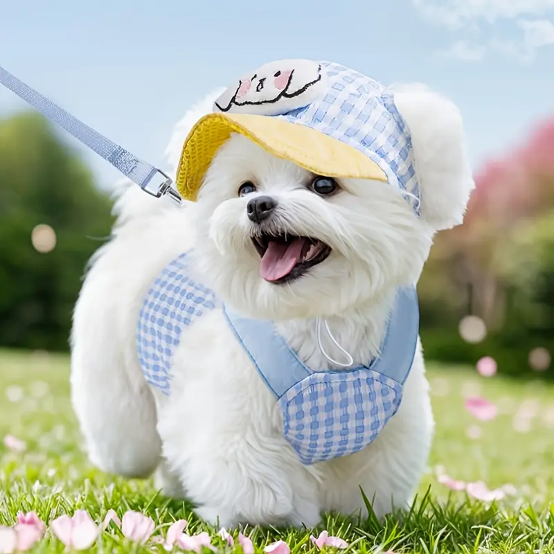 Adjustable Secure Fit Dog & Cat Harness Leash Set, Hand Wash Only, with Outdoor Hat & Attachment for Small-Medium Pets (Including Poodles)