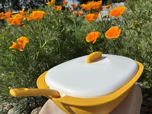 Arrozera 1.7 litros Amarilla