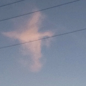 𝓢𝓱𝓻𝓮𝔂 𝓢𝓱𝓻𝓮𝔂’