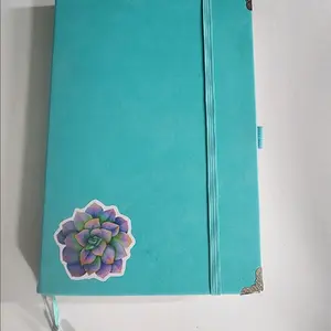 succulent themed pre-made 6 month bullet journal