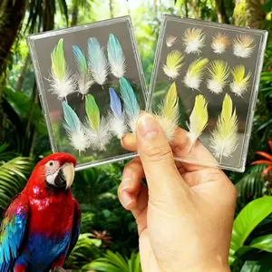 2PCS High-Definition Transparent Parrot Feathers Display Case With Frame Permanent Preservation For Pet Bird Feathers Collection Suit For Cockatiil Budgie Parrot Pet Keepsakes Memorial Forbird Lover