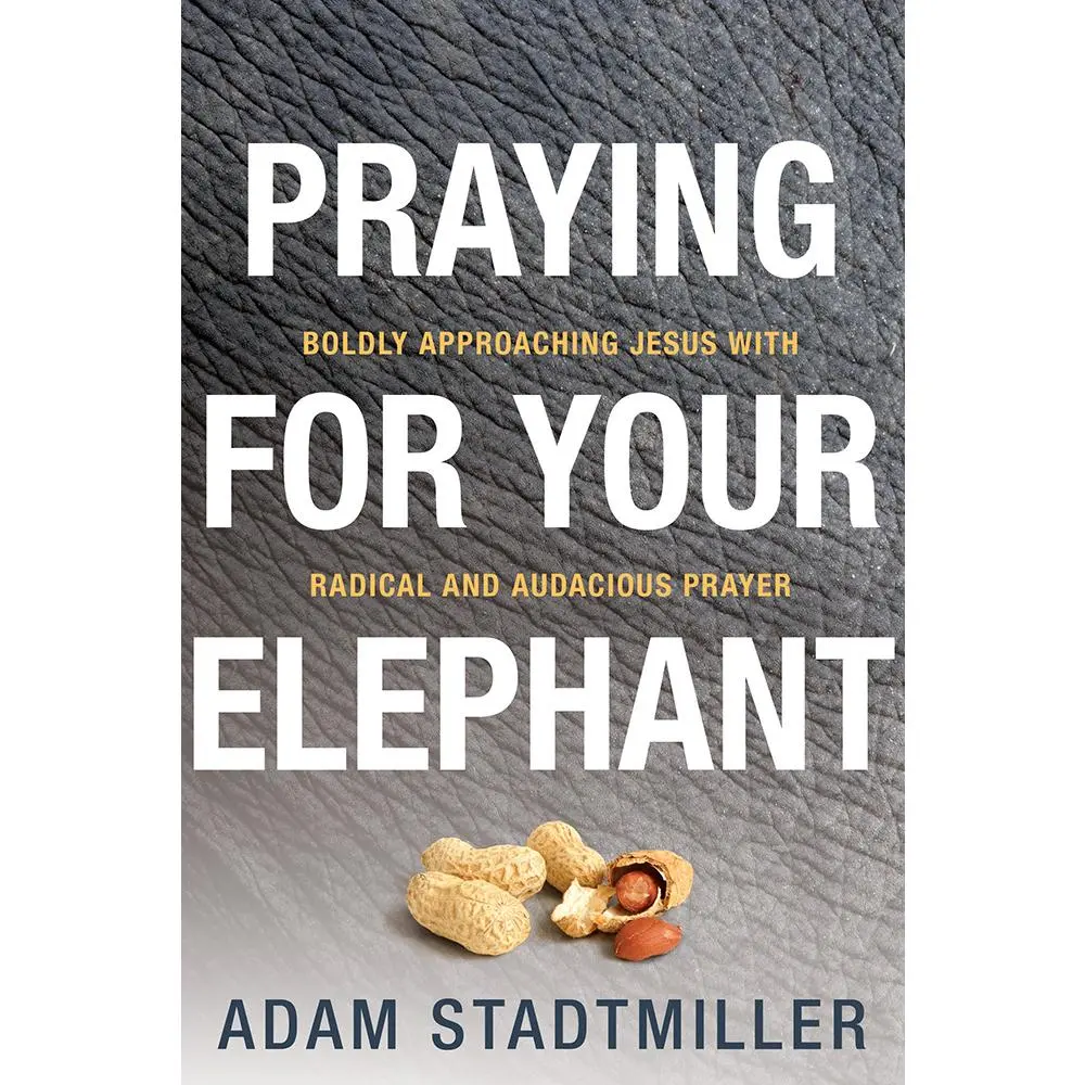 USED Book - Praying for Your Elephant: Boldly Approaching Jesus with Radical and Audacious Prayer by Stadtmiller, Adam (Paperback) - english