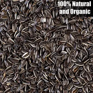 6lb Non-GMO Striped Sunflower Seeds – USA Grown Bird & Backyard Wildlife Food
