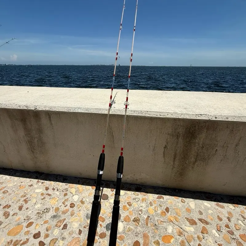 Largo Stick Red Edition II Spinning Fishing Rod 5ft Two Section 5 Guides Light Fiberglass Saltwater Fishing Durable Portable Strong Clear Red