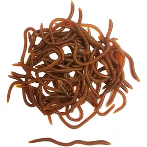 1.6in/3.3/3.9in Lifelike Fake Bloodworm Earthworm Grub Worm Soft Fishing Lure Bait for Trout Fishing