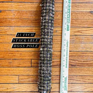21” Stackable Sphagnum Moss Pole