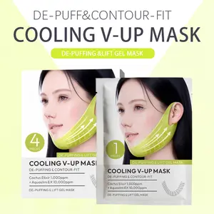 2-in-1 Physical Lifting & Nutrient Firming Hydrogel Patch, Jawline Contouring Support, Improves Double Chin Appearance, Anti-Sagging Look & Pore Refining Skin Care