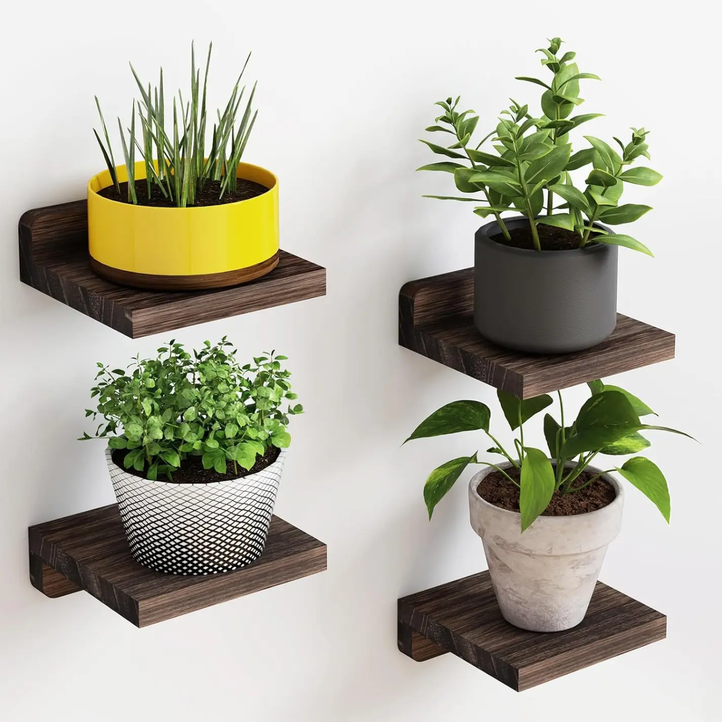 [New Deal]-Small Floating Shelves, 5X5 Inches Wall Shelf Set of 4, Rustic Wood Small Wall Mounted Shelves for Bedroom, Living Room, Kitchen, Bathroom Decor (Dark Carbonized Black)