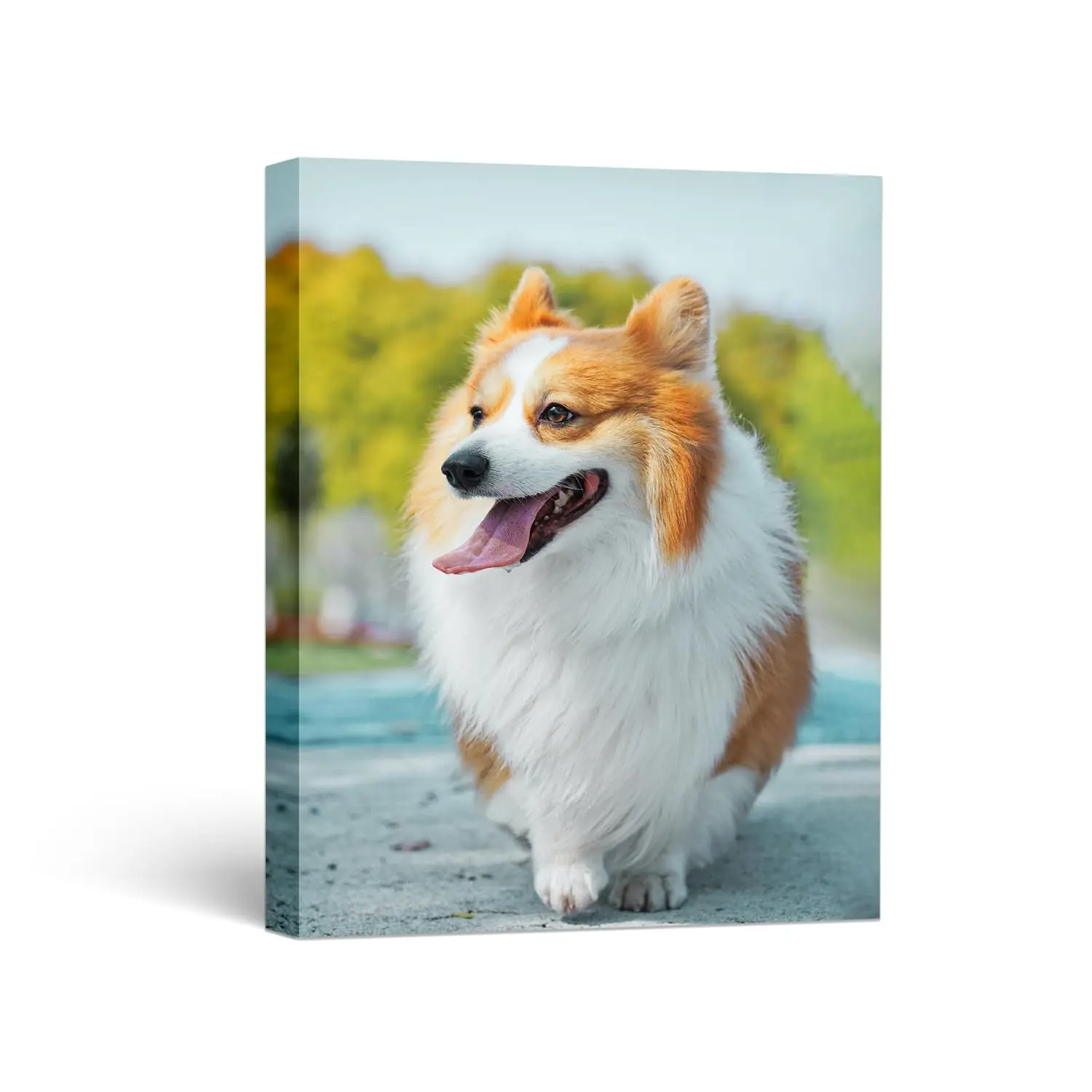 Wihoo Custom Canvas Prints with Your Photos - Personalized Wall Art for Bedroom, Living Room, HomeOffice