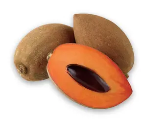Mamey Sapote Tree, Huge Sapote Grafted Tree 3-4 Feet Tall In 3 Gal, Sapote Live Plant, Fruit Tropical Live Tree For Planting