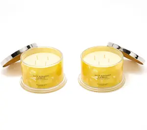 HomeWorx by Slatkin + Co. S/2 18oz Sun Kissed Lemon Candles