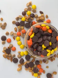 Peanut Butter Explosion - 16oz & 8oz Gourmet Peanut Butter Desserts - White Chocolate Peanut Butter with Chocolate Sauce topped with Peanut Butter Cups, Peanut Butter Morsels & PB Candies