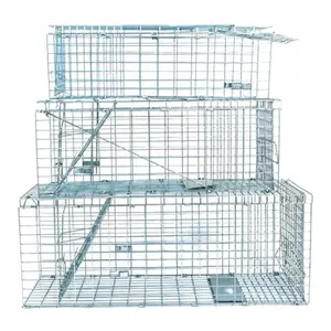 Wilco  Collapsible Live Trap - Small