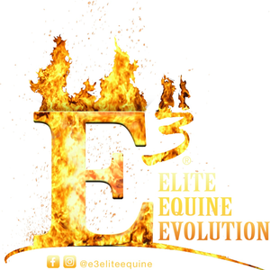 E3 Elite Equine Evolution