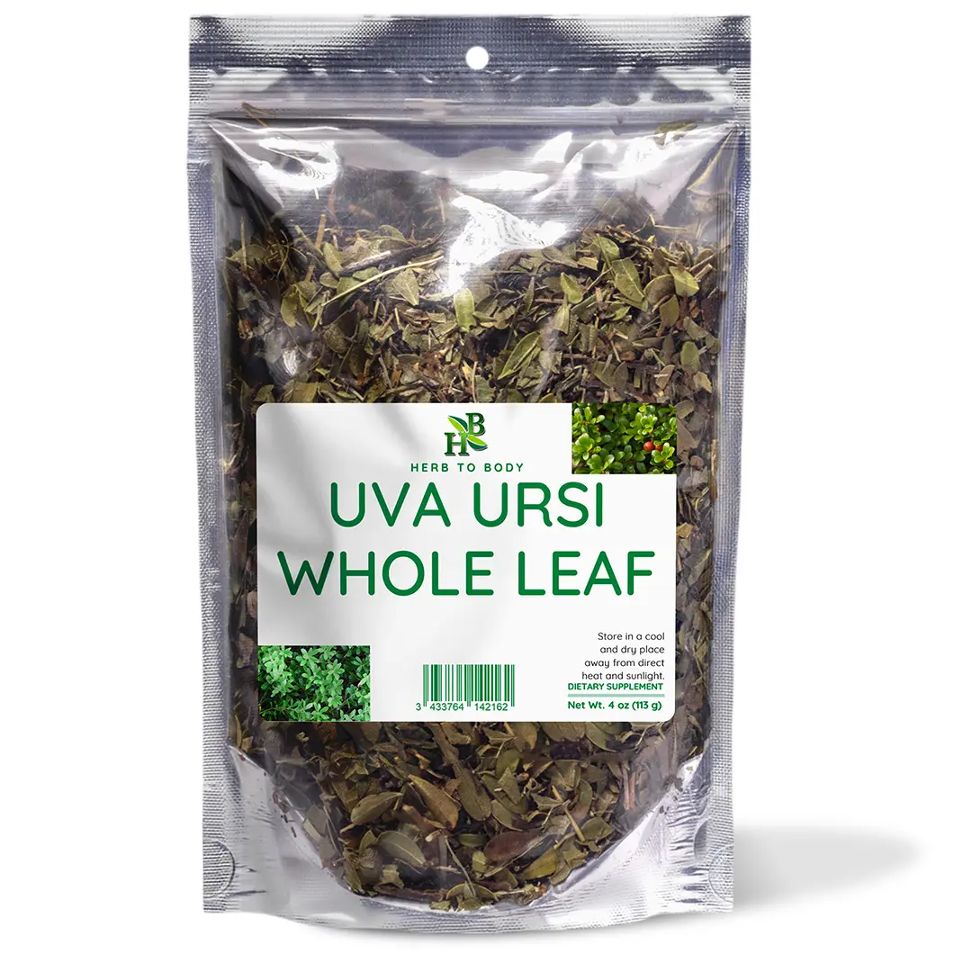 Uva Ursi Whole Leaf - 4oz (113G) | Natural Urinary Antiseptic | Herb To Body