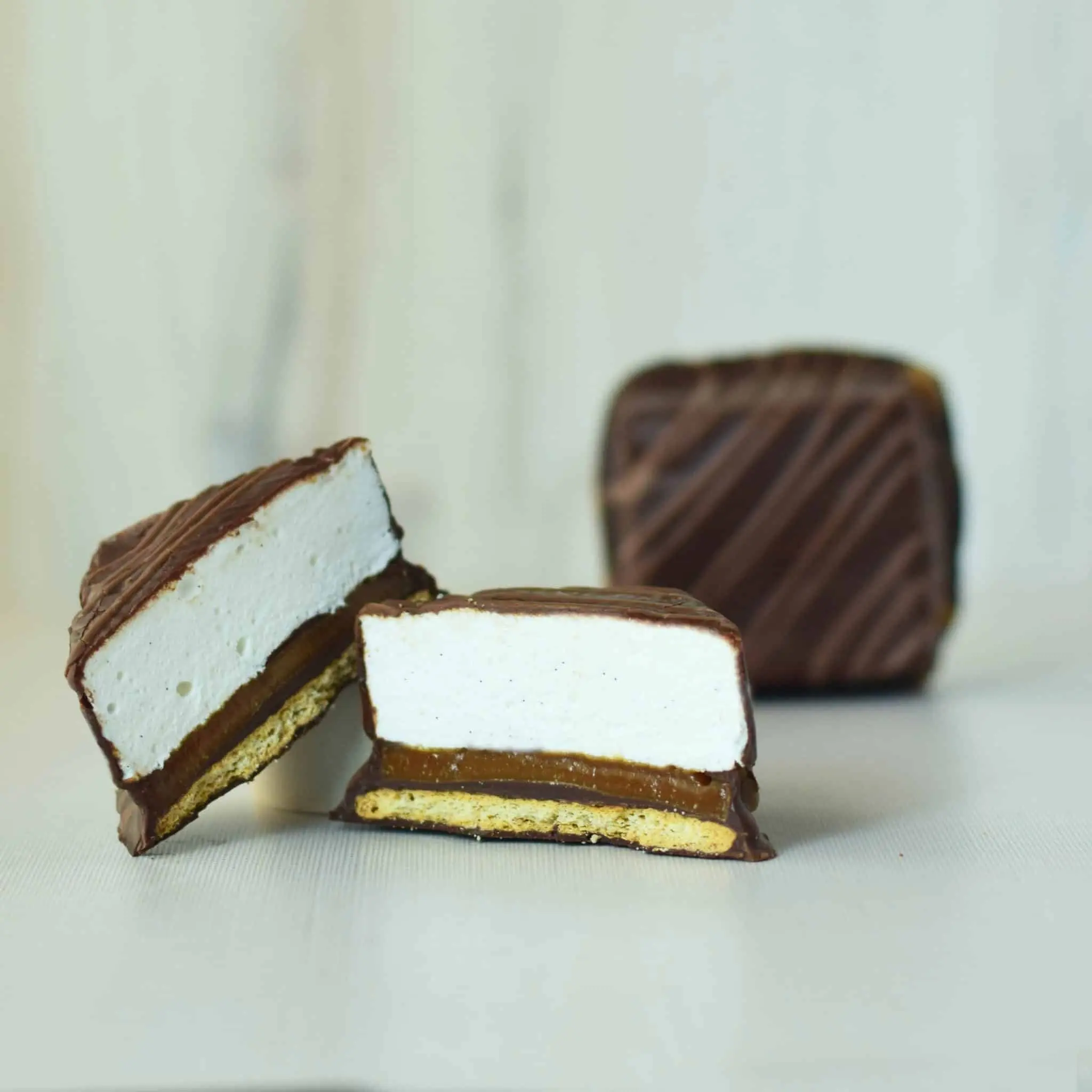 Gourmet Caramel Marshmallow S’more | Multiple Flavors | Lulubee Artisanal Chocolates