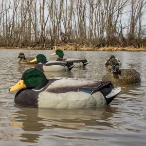 F1FF Fully Flocked Mallard Floaters