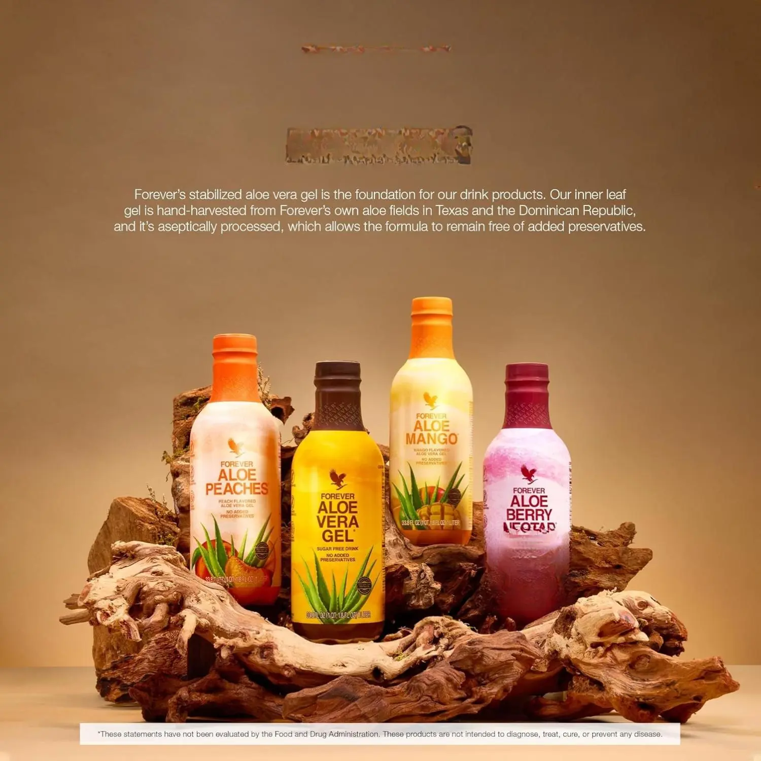 Forever Living - Aloe Berry Nectar - 90.7% Pure Aloe Vera Gel with  Cranberries and Apples - No Preservatives - 330 ML (Pack of 6) - TikTok Shop